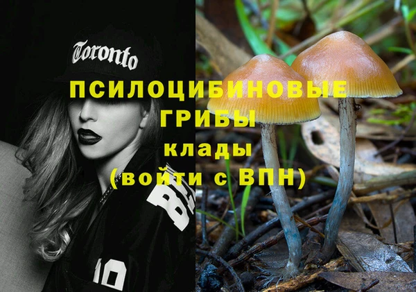 мяу мяу мука Арсеньев