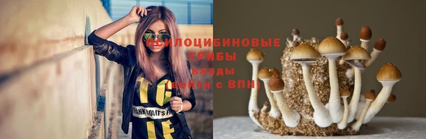 мяу мяу мука Арсеньев